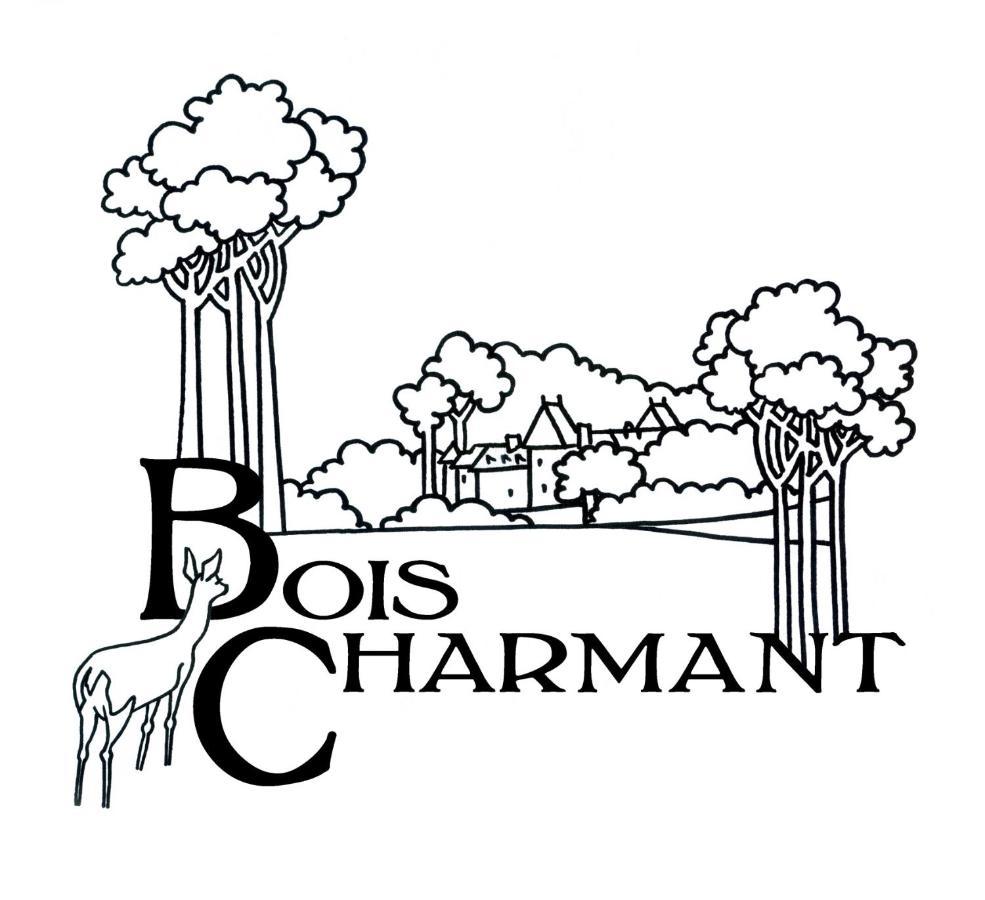 Chateau De Bois Charmant Les Nouillers Exterior photo